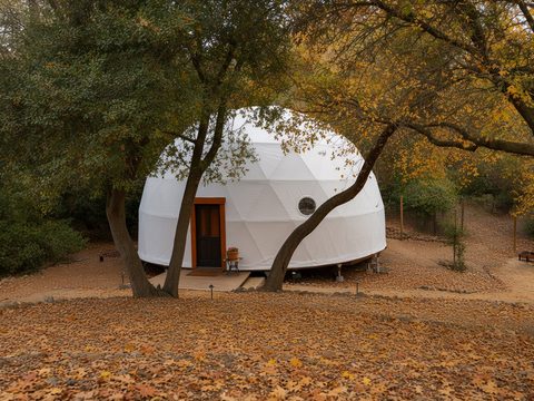 The white dome under old oaks, with its wooden door and round window and fallen autumn leaves in front.